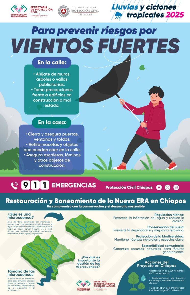 Banner - Lluvias fuertes